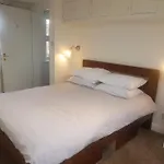 The Ox1