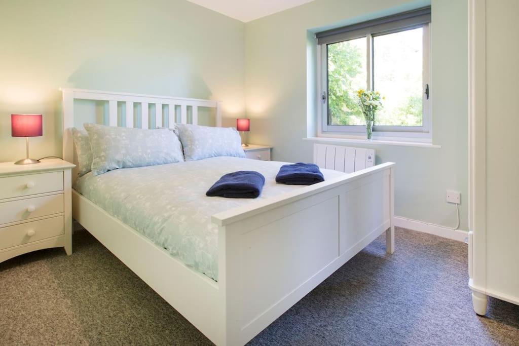 Cosy Modern Apartment Oxford
