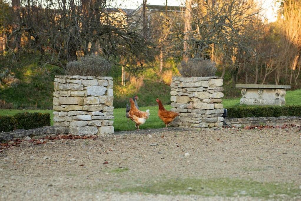 Dove House - No 1 Holiday home