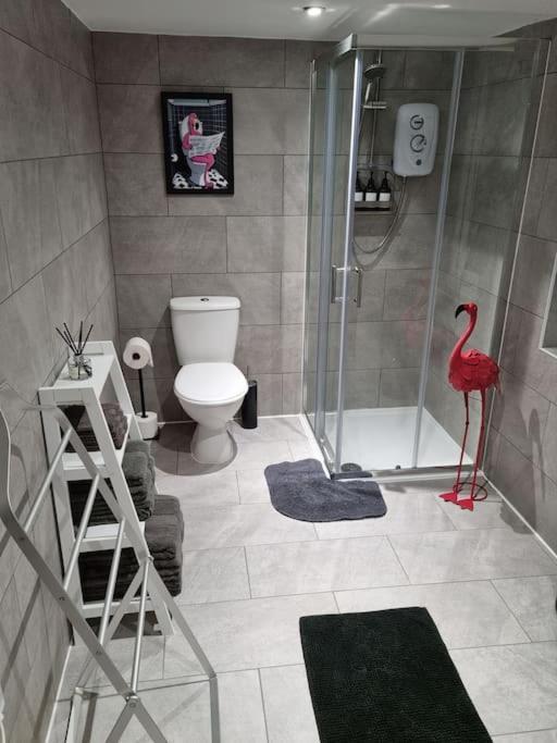 Apartment Flamingos Nest Countryside - Bicester Village - Blenheim Palace - Wifi- Free Parking