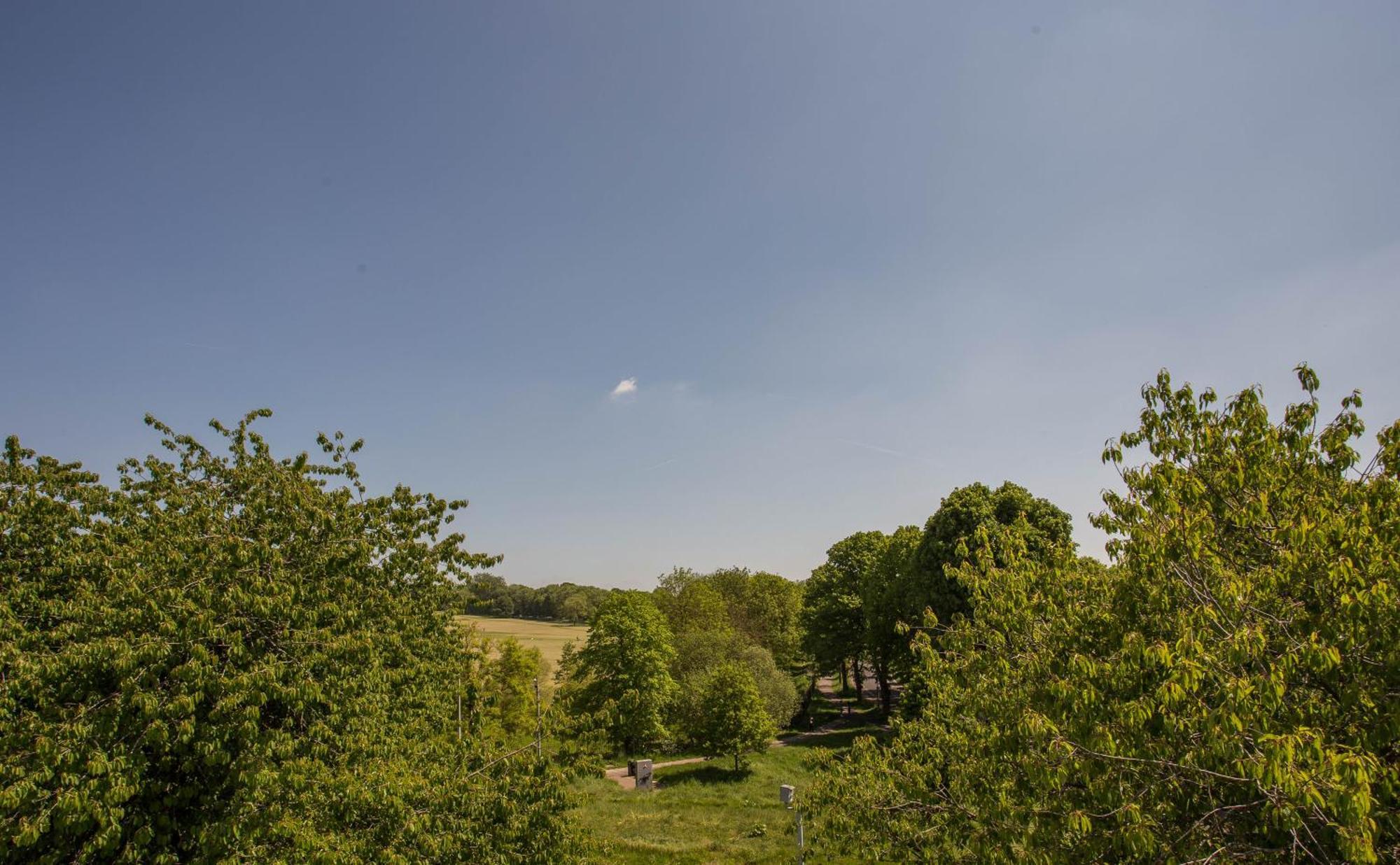 Cosy, Flat For Up To 4 With Park View