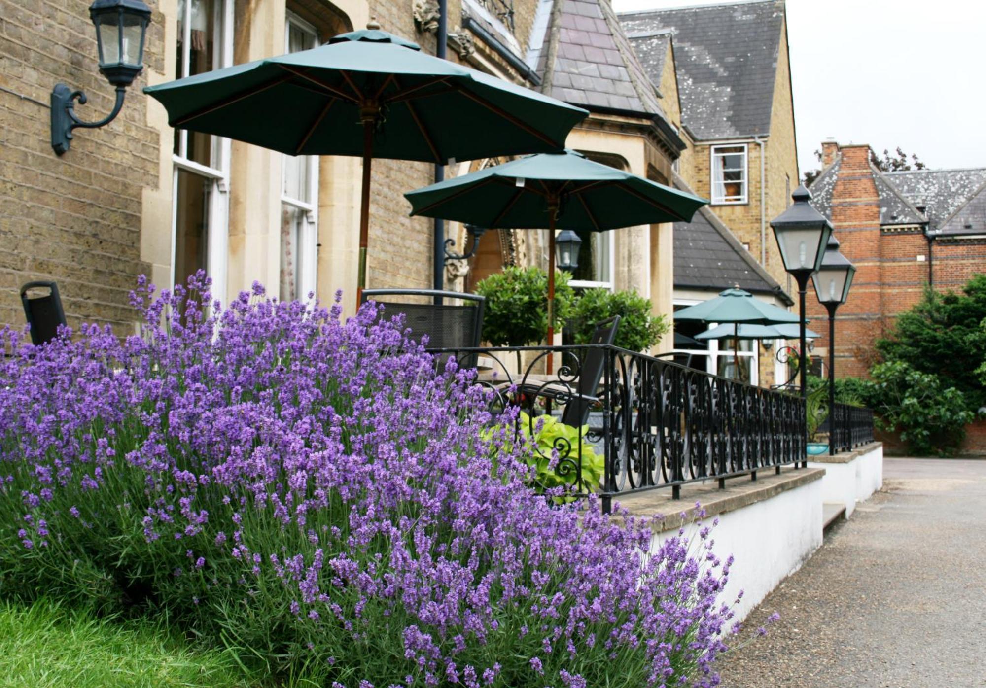 Cotswold Oxford